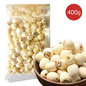 nX̎ 400g @̎ Y ͂̎ @̎q @q V @̎ { AJCh  Y  H Y F  V  N @ Wc v[g H̓ Mtg H~