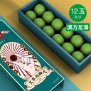 【日本初登場】南京同仁堂 漢方足湯 入浴剤 よもぎ漢方 15g×12個入り 生薬足湯 バスボム バスボール 中華老字号 中国漢方 中医 漢方 漢方養生 血行促進 フットバス 不眠解消 リラックス効果 薬用入浴剤 冷え性 疲労回復 女性 お風呂 冬 秋 敬老の日 母の日