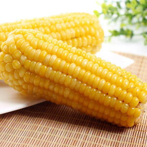 Ƃ낱 1{ 3ޑIׂ gERV Ƃ낱 Ƃ낱 ʕĖ_ ʕ ʕ p[v ς ߂邾 ^pbNR[ ؐH dq