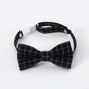 yzXq L lN^C mX Lp RXv  y 킢 pɕ֗ 3J[Iׂ wbhoh S  ˂ т _炩  L̎  Lp