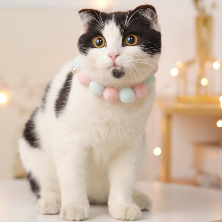 楽天市場 送料無料 猫首輪 毛糸ポンポン 軽い かわいい 着用に便利 6カラー選べる 安全 おしゃれ 手編み ねこ くびわ ネックレス お洒落 猫の首輪 こいぬ 猫用首輪 猫 首輪 もこもこ モコモコ 綺麗 キレイs M L サイズ 気にならない子犬小犬ペットグッズ 海鳴ライフ