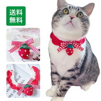 楽天市場】猫 首輪 いちごの通販 