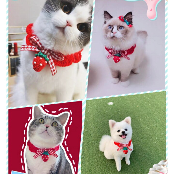 楽天市場】猫首輪 いちご 苺 毛糸 軽い かわいい 着用に便利 安全  