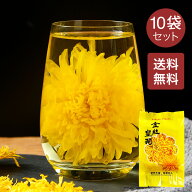 【送料無料】金絲皇菊 菊花茶 ハーブティー 健康茶 10枚セット 花茶 工芸茶 自然素材 利尿作用 かすみ目…