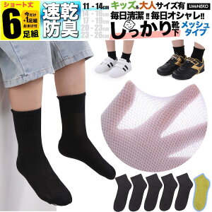 j̎q C qǂp S  n bV LbY q \bNX Zbg 6g ̎q 5g +܂1g  WjA ۈ牀 ct w   j ǂ v Ȃ jɂ