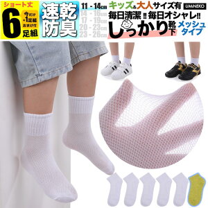 ̎q C qǂp S  n bV LbY q \bNX Zbg 6g j̎q 5g +܂1g  WjA ۈ牀 ct w   j ǂ v Ȃ jɂ