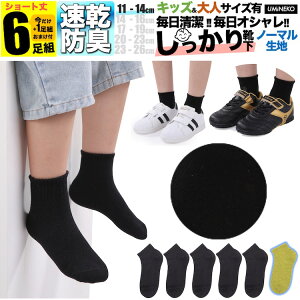 ̎q C qǂp S  n LbY q \bNX Zbg 6g j̎q 5g +܂1g  WjA ۈ牀 ct w t  H ~  j ǂ v Ȃ jɂ 