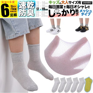 j̎q C qǂp L O[ n bV LbY q \bNX Zbg 6g ̎q 5g +܂1g  WjA ۈ牀 ct w t  H ~ ǂ v Ȃ j