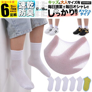 ̎q C qǂp L  n bV LbY q \bNX Zbg 6g j̎q 5g +܂1g  WjA ۈ牀 ct w t  H ~ ǂ v Ȃ jɂ 