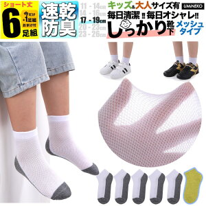 j̎q C qǂp L  zF  O[ bV LbY q \bNX Zbg 6g ̎q 5g +܂1g  WjA ۈ牀 ct w t  H ~ ǂ v 