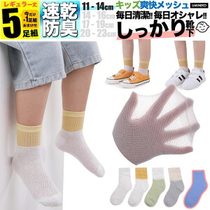 ̎q C qǂp S   F n bV LbY q \bNX Zbg 5g j̎q 4g +܂1g  WjA ۈ牀 w w t  H ~  j ǂ v 