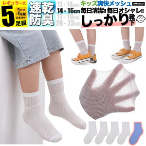 ̎q C qǂp M  n bV LbY q \bNX Zbg 5g j̎q 4g +܂1g  WjA ۈ牀 w w t  H ~  j ǂ v Ȃ j