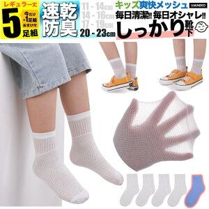 ̎q C qǂp XL  n bV LbY q \bNX Zbg 5g j̎q 4g +܂1g  WjA ۈ牀 w w t  H ~  j ǂ v Ȃ 