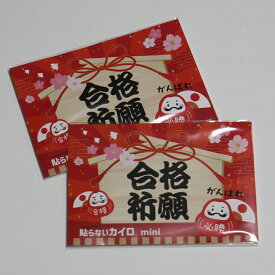 合格祈願ぬくぬくカイロ（ミニサイズ／コーワ）