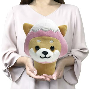 } }XRbg NbV 킢  ӂӂ  Č  