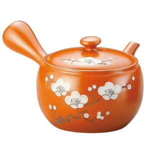 WFCLb`YiJ-kitchensj }{  튊 eB[|bg 傫 450cc IWF