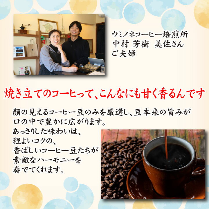 楽天市場 顔の見える ブレンド コーヒー 0ｇ ウミノネ シーズナル ブレンド グアテマラ エチオピア タイ コーヒー豆 中煎り コーヒー専門店 ギフト コーヒー 自家焙煎珈琲 珈琲豆 自家焙煎 送料無料 限定 母の日 早割 プレゼント お取り寄せ ウミノネ