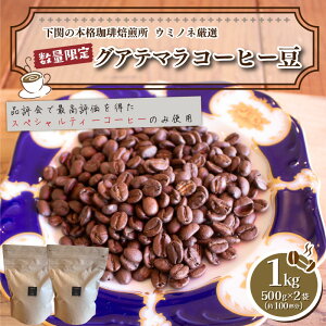 󂠂 R[q[ 1kg ( 500g × 2 ) ʌ Iׂ  [   OAe}    R