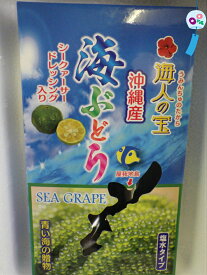 塩水タイプ40g×6セット　沖縄料理　沖縄食材　刺し身　美味しい　海藻　お土産