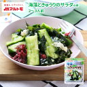 マルトモ公式 海藻ときゅうりのサラダの素 2〜3人前｜マルトモ海幸倶楽部｜海藻サラダ 乾燥わかめ わかめ サラダの旨辛たれ タレ たれ