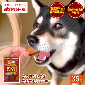 犬 おやつ 無添加 国産 低脂肪 マルトモ公式 かつおだいすき かむかむジャーキー 35g｜マルトモ海幸倶楽部｜犬用 おやつ ジャーキー