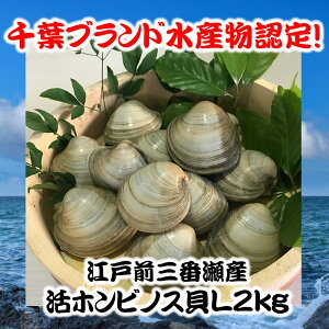 活 白 貝 その他の魚介類の人気商品 通販 価格比較 価格 Com