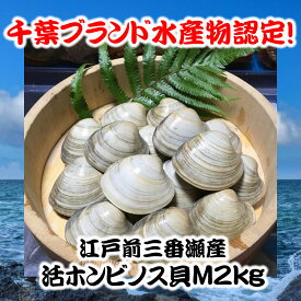楽天市場 ホンビノス貝の通販