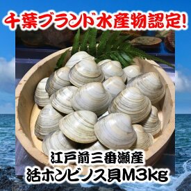 楽天市場 ホンビノス貝の通販