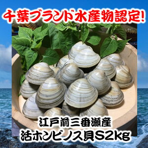 活 白 貝 その他の魚介類の人気商品 通販 価格比較 価格 Com