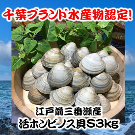 楽天市場 ホンビノス貝の通販