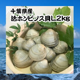 楽天市場 ホンビノス貝の通販