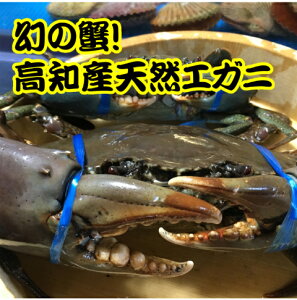 カニ 500g カニの人気商品 通販 価格比較 価格 Com