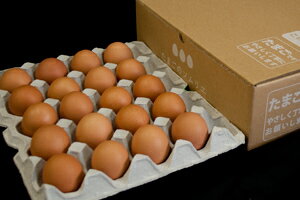 No.002あっウマ目玉焼き専用たまごご自宅用お買い得セット小20個めだまやきめだま焼目玉焼目玉やきめしうまたまごのソムリエ小林ゴールドエッグ