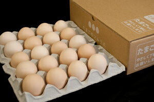 No.003ほくほくとろり!ゆでたまご専用たまごご自宅用お買い得セット小20個入ゆでたまご半熟ゆでたまごゆで卵茹で卵茹でたまごサンドイッチにぴったり朝食ベーコンにも合うたまごのソムリエ小林ゴールドエッグ