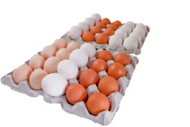 たまごのソムリエセット40個入【送料無料】定期購入卵かけ 卵ご飯 卵かけご飯 たまごかけ たまごかけごはん 卵 ごはん たまごかけご飯 卵かけご飯 たまごかけ御飯 卵かけ御飯 醤油にぴったり たまごのソムリエ 小林ゴールドエッグ