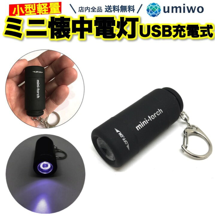 半額品 ペット ライトキーホルダー 携帯 玄関 USB充電式 防災 ミニ 黒 防犯 夜間 小型