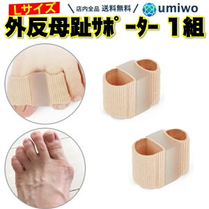 yzOT|[^[ wTbN LTCY 1g(2)Zbg vjvj _炩 VR f O T|[^[ ɂ y C𗚂Ȃ璅p w  T|[^[ ew lw