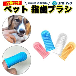 yzybg w uV 4FZbg VR wTbN \tg oPA   L ^ ^ ^ a \h N[jO nuV s ybguV Vv y 