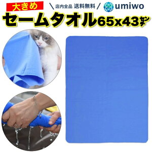 yzZ[^I TCY  1 65x43cm JԂ g XC^I  H  z w ϋv j XC~O v[ W H AEghA C X|[c  Z[ 