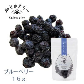 【ドライフルーツ ブルーベリー 16g】岐阜県産ドライフルーツ かじゅえりー 濃山県元気ファーム 岐阜県 無添加 無着色 国産 おやつ 無添加おやつ どらいふるーつ 素材そのまま かわいいおやつ ブルーベリー dry ドライ 高糖度 プチギフト ホワイトデー 母の日