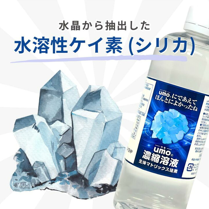 楽天市場】umo濃縮溶液 500ml umo 珪素 ケイ素 飲む シリカ水 飲料水 