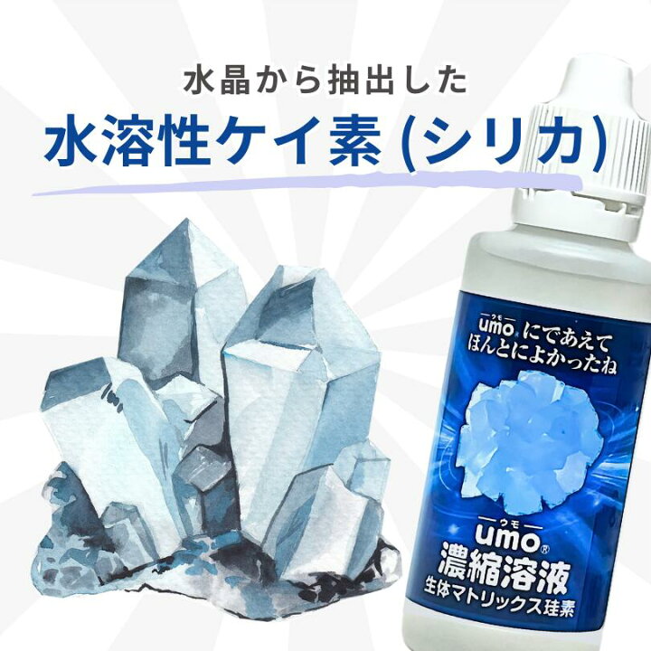 楽天市場】umo濃縮溶液 50ml シリカ水 が作れる 水溶性ケイ素 水 正規 