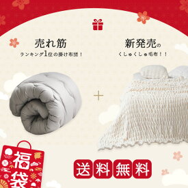 福袋 2025 色お任せ 掛け布団 シングル シンサレート 毛布 シングル 冬用 ブランケット 掛け布団 冬 おすすめ 掛布団 掛ふとん 冬用布団 冬布団 冬用掛け布団 冬掛け布団 くしゅくしゅ毛布 ひざ掛け かけ布団 洗える布団 膝掛け