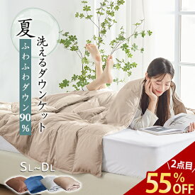 ＼在庫一掃★20%クーポン!2点目55％OFF／ NENEKO ダウンケット シングル 羽毛布団 夏用 ダウン80% 90％ 夏布団 夏用掛け布団 羽毛 夏掛け布団 肌掛け布団 羽毛 羽毛肌掛け布団 シングル ダウンケット シングル セミダブル ダブル 肌がけ羽毛布団 夏用羽毛布団 掛け布団