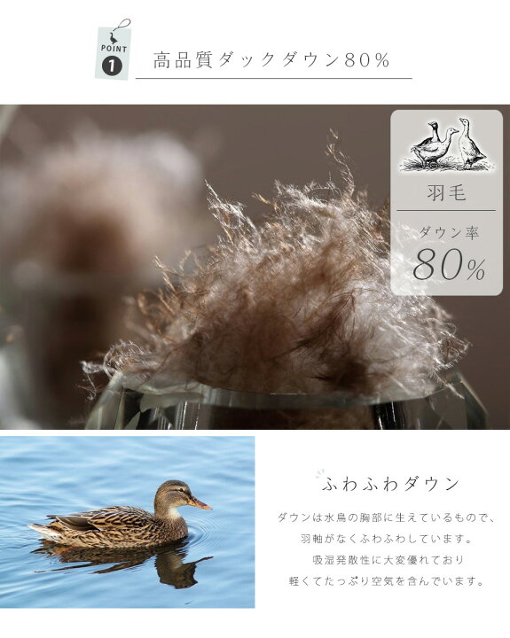楽天市場 寝袋 ダウン シュラフ ダウン 寝袋 洗える キャンプ用品 羽毛 布団 寝袋 キャンプ アウトドア 羽毛寝袋 羽毛肌掛け布団 コンパクト収納 便利 防災グッズ 寝袋 かけ布団 軽い 暖かい ダウンケット シングル 災害対策 車中泊 羽毛工房