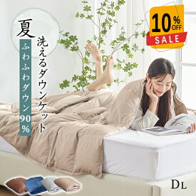 10%OFF！ダウンケット ダブル 肌掛け布団 ダブル ダウン90% 羽毛布団 夏用 夏布団 ダブル 夏掛け羽毛布団 羽毛肌掛け布団 夏掛け布団 夏掛け 肌掛け羽毛布団 夏用羽毛布団 肌布団 夏用布団 夏用 掛け布団 洗えるダウンケット 夏ケット 肌掛け 羽毛布団 薄い 夏ふとん