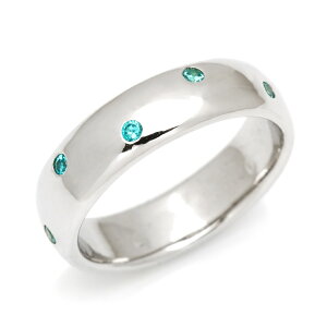 T500~N[| SV925 u[L[rbNWRjA Ow Vo[925 SILVER X^[OVo[   bZ[W Mtg 蕨 sL[OΉ\ NX}X 