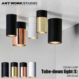 ARTWORKSTUDIO アートワークスタジオ Tube-down light(S) チューブダウンライト(S)(電球なし) AW-0524Z 天井照明 シーリングライト ダウンライト シンプル スマート