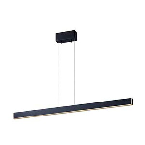 ARTWORKSTUDIO �A�[�g���[�N�X�^�W�I Bridge 60/90/120 LED-pendant �u���b�WLED�y���_���g AW-0581E/AW-0582E/AW-0617E / �y���_���g���C�g �y���_���g�����v LED���� ���� ���F