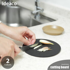 ideaco イデアコ usumono cutting board ウスモノ カッティングボード まな板 食洗器可 コンパクト 非多孔性 衛生的